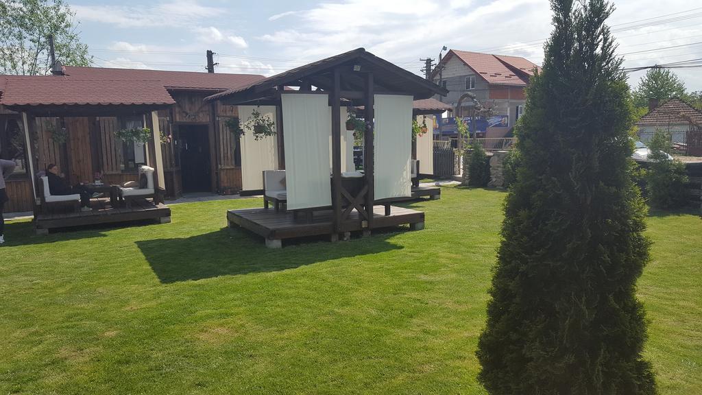 Pensiunea Valea Argesului Albestii Paminteni Exterior foto
