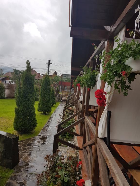 Pensiunea Valea Argesului Albestii Paminteni Exterior foto