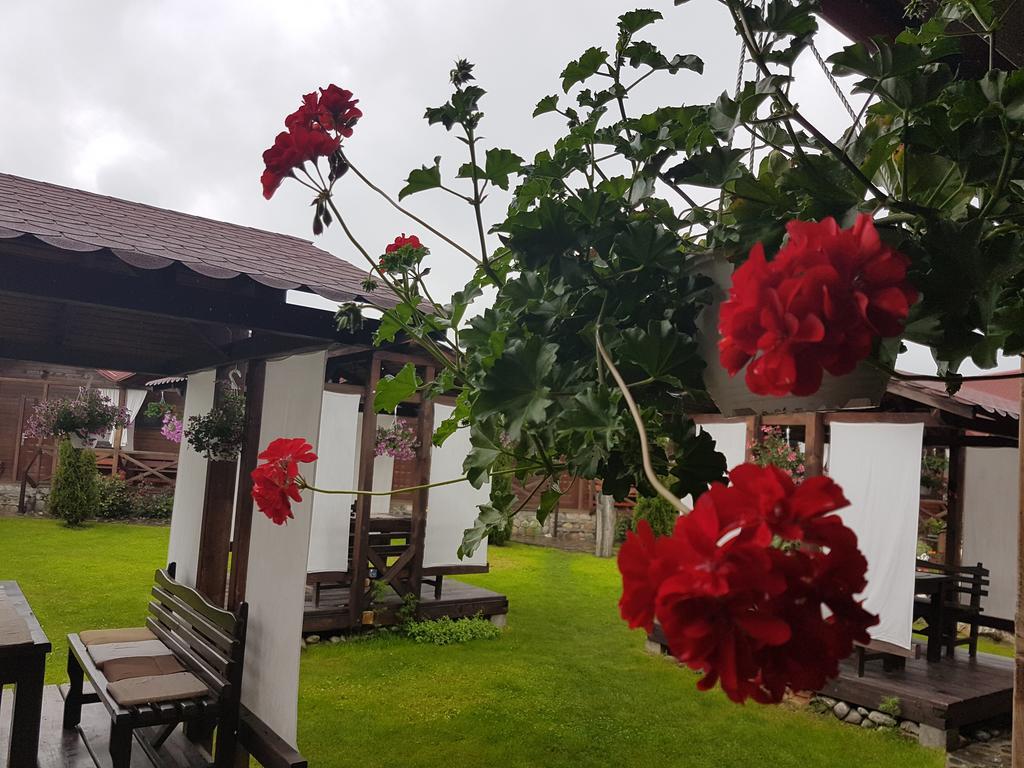 Pensiunea Valea Argesului Albestii Paminteni Exterior foto