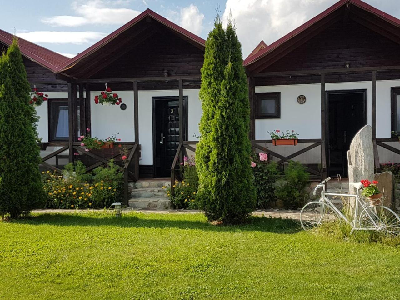 Pensiunea Valea Argesului Albestii Paminteni Exterior foto